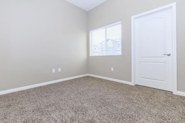 Carpeted room with a closet door