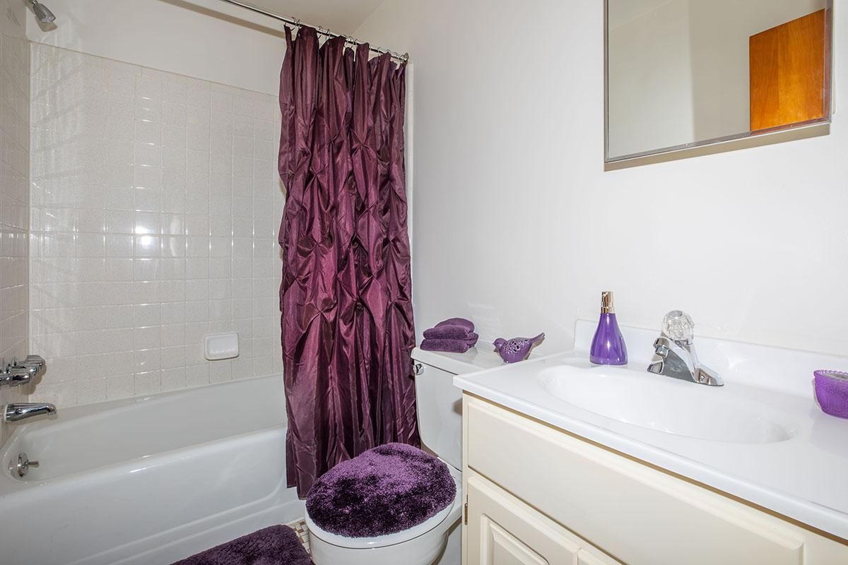 a purple and white shower curtain