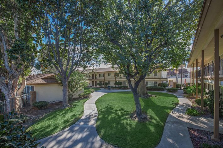 Mt. Vernon Apartments courtyard with green landscaping