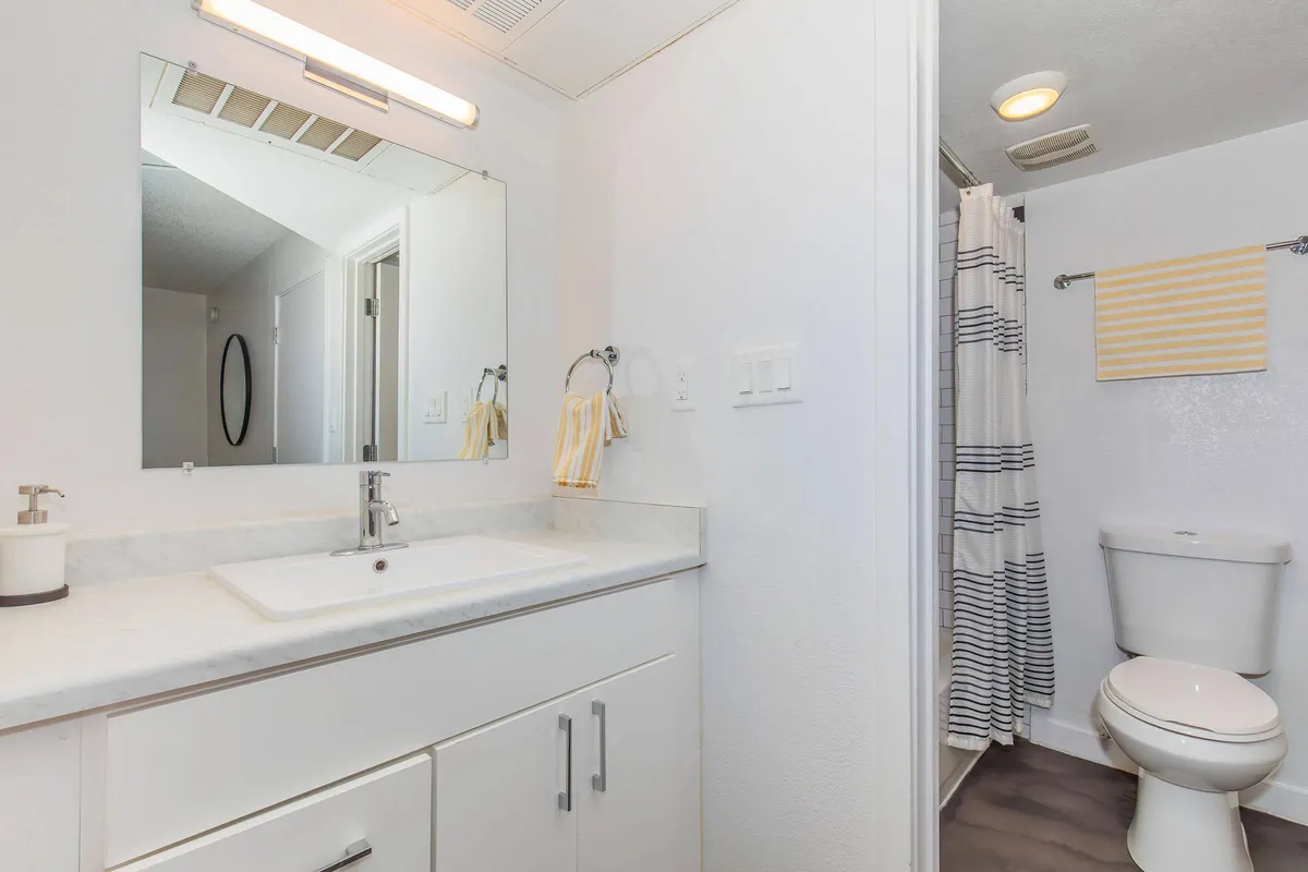 Apartment bathroom — representative home at 32 Arcadia Apartments.
